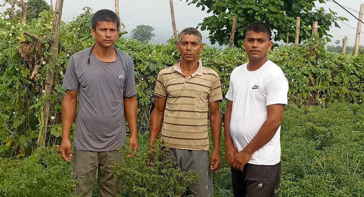 बायाँबाट क्रमशः वीरबहादुर वली, दलबहादुर वली र गोविन्द वली।